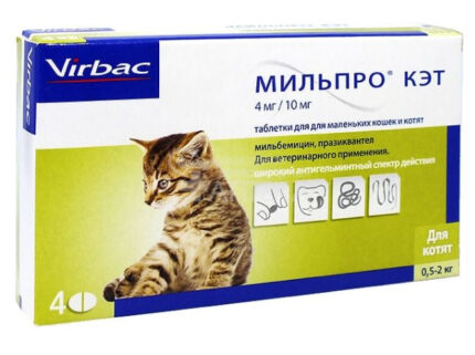Мильпро кэт, для котят, уп. 4 таблетки