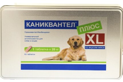 Каниквантел плюс XL, 1 таблетка